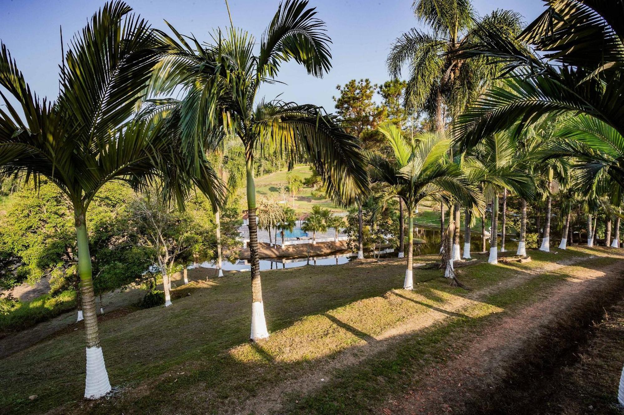 Recanto Das Aguas - Chales No Meio Da Mata Atlantica Eldorado Kültér fotó